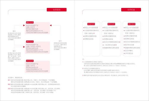 四個石頭 射洪縣畫冊設(shè)計(jì)與企業(yè)形象策劃的專業(yè)力量